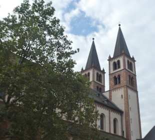 Der Dom von Würzburg (von der Seite)