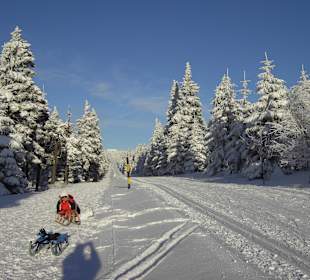 Höhenloipe Wellenschaukel