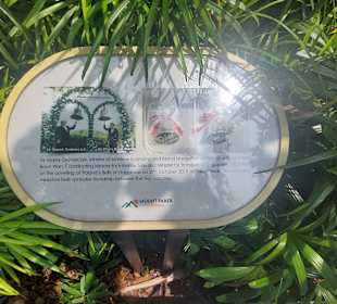 Mount Faber Peak