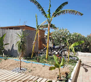 Viking Beach Club - Sanitärbereich