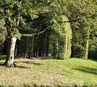 Herbststimmung im Bremer Bürgerpark