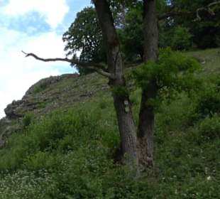 Premiumwanderweg "hochgehackert"