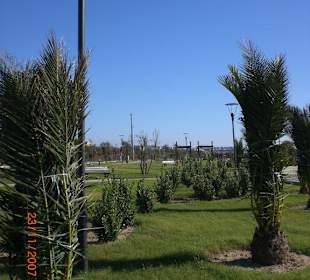 Im November bei 22 Grad