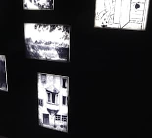 Rheinisches Landesmuseum