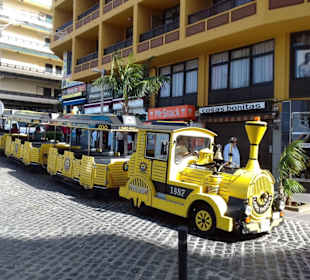 Loro Parque Express in Puerto de la Cruz