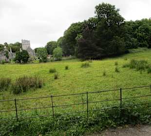  Killarney National Park