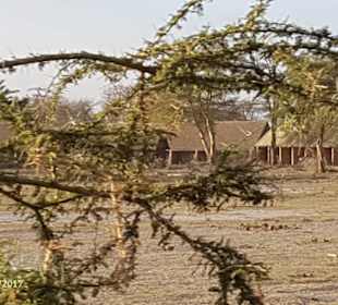 PrivatSafari 10/17 - Tsavo+Amboseli - impressions