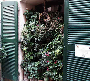 Ramatuelle romantisch schön