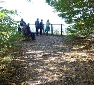 Aussichtspunkt Grüner Fels