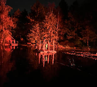 Mondo Verde Halloween