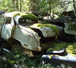Autofriedhof am Foxen