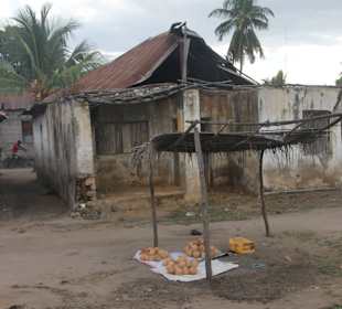 Einfache, aber stabile Behausung