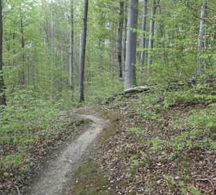 Wanderweg Firstwaldrunde