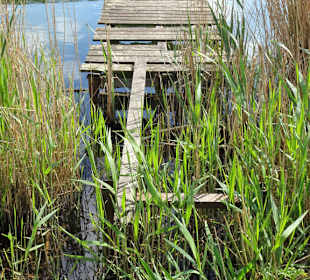 Impressionen aus dem Seenpark in Nordenham
