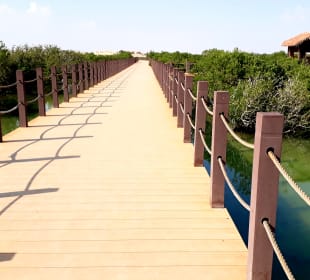 Al Thakira Mangroves