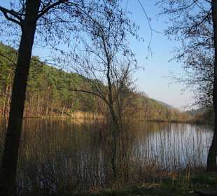 Der wunderschöne Sandwiesenweiher