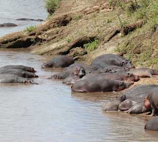Geführte Touren Marco Polo Tours & Safaris Diani Beach