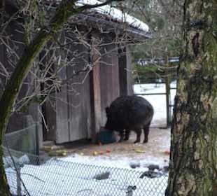 Freilichtmuseum Skansen