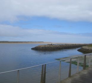 Blick auf den Fluss und Sandbank