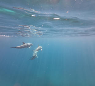 So ein Glück muss man erstmal haben