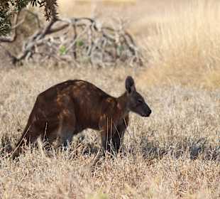 Cape Range NP