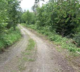 Schutzgebiet Spitzberg, Pfaffenberg