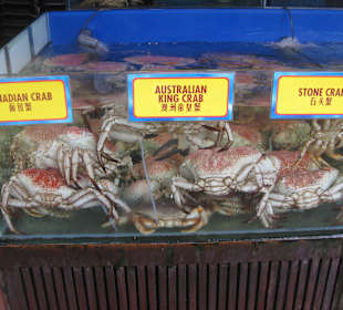 Frische Meerestiere in den Restaurants