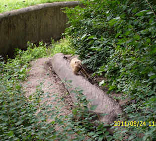 Besuch im Berliner Zoo