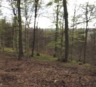 Wanderweg Hochgehswiggert