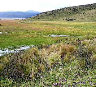 Cotopaxi Nationalpark