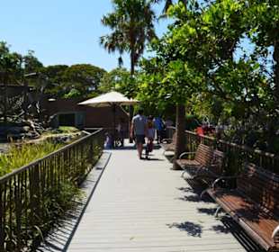 Taronga Zoo