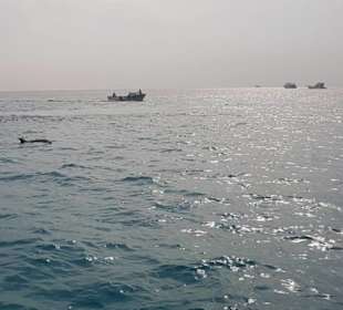 Karibikfeelingtour vom 18. November 2017