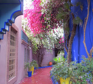 Eindrücke aus dem Jardin Majorelle Garten