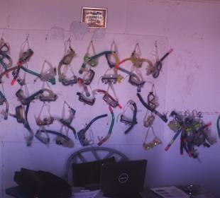 Schnorchel zum Ausleihen