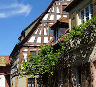 Restaurant Die Kartoffel