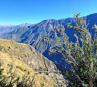 Colca-Canyon