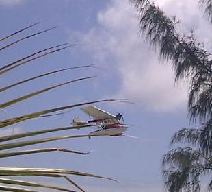 Auch mit neuer Farbe die gewohnte Qualität