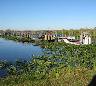 Everglades