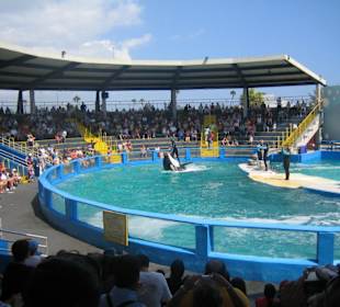 Miami Seaquarium