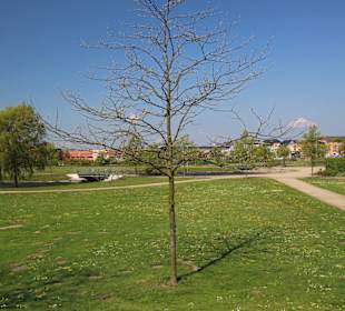  Im Hohnhorst-Park Lehrte