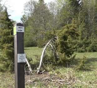 Rundweg am Beutenlay