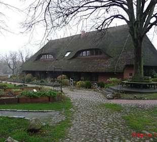 Blick über den Kräutergarten