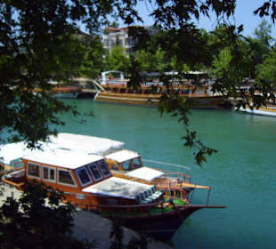 Erholung am grünen Fluss