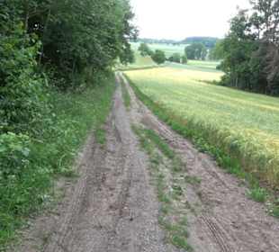 Schutzgebiet Spitzberg, Pfaffenberg
