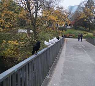 Parkanlage Planten un Blomen