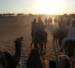 Ausritt gen Sonnenuntergang in der Sahara