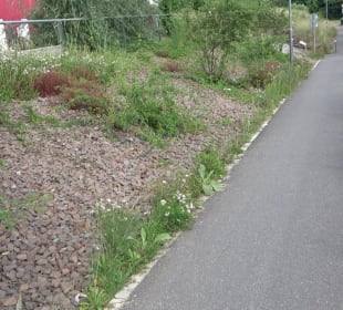 Schwetzinger Terrasse