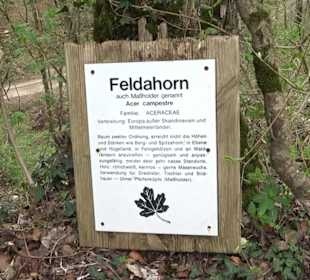 Wanderung rund um das Rusenschloss Gerhausen