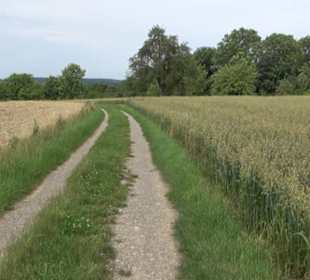 Premiumspazierweg Früchtetrauf-Leisawegle