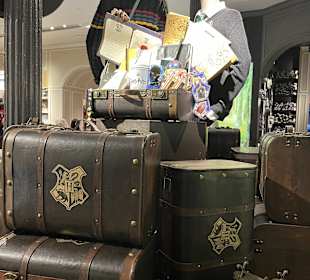 Harry Potter New York Store